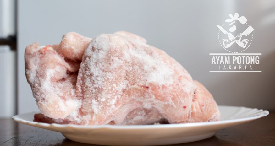Supplier Ayam Frozen Jakarta