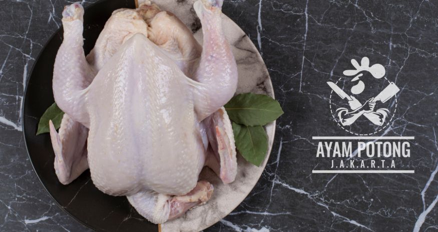 Supplier Ayam Potong No 1 Di Jakarta