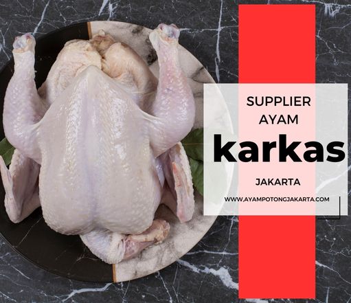 supplier ayam karkas jakarta